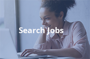 Search Job